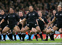 rugby na nova zelândia