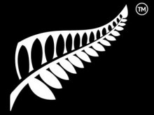 Bandeira da Nova Zelândia Silver Fern